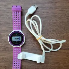 Garmin 220J