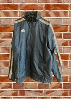 Item thumbnail for item 6fb51189-34ee-41a1-a4e6-891c29350da3