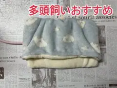 Item thumbnail for item 16c660d3-4dff-43eb-b5c1-3a1f07bd2240