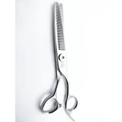 Item thumbnail for item 154b86cd-927b-479f-a27b-049b2e423130