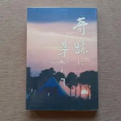 奇跡に導かれて