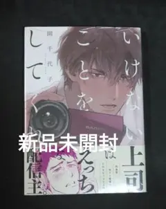 いけないことをしてくれ