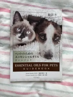 Item thumbnail for item 6e925c33-7a15-463b-9f41-cc745455759f