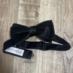 Item thumbnail for item e43828ef-94e4-4f4d-897e-eac9134bb2d5