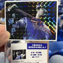宮崎敏郎　ブラインドホログラムステッカー　スターナイト