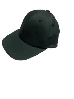 Item thumbnail for item 7c165d92-edc9-4d04-b8b6-25920be72f6f