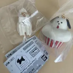 maison terrider いぬ　ガチャ