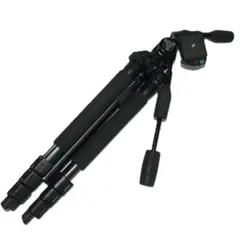 Item thumbnail for item 1adc9aae-183c-4010-88d2-9e14d638f3be