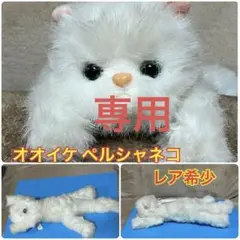 オオイケ　ぬいぐるみ　ペルシャ猫　レトロ OIKE グリーンアイ　キャットハウス 美品 子猫 昭和レトロ オオイケ ペルシャ猫 ぬいぐるみ クタクタ