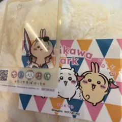 ちいかわパーク　入場特典　ちいポケ　ノベルティ　うさぎ　クリアカード