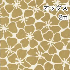 Item thumbnail for item 75c033b6-72d3-42ea-aea5-011cd44fc48c