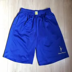 インザペイント　INTHEPAINT バスパン　ブルー　Lサイズ