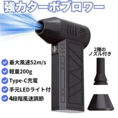 Item thumbnail for item 4c0bf1ed-d0c0-42de-be27-06740a825b55