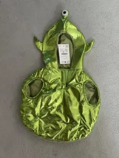 Item thumbnail for item 954e271c-73f6-466d-b2cc-982673518607