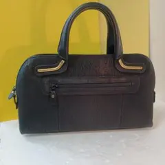 POLA amian★GENUINE シャークスキン(本鮫革)ハンドバッグ
