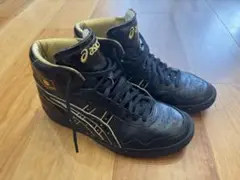 Item thumbnail for item 5d6d7961-9fbe-47e7-b14d-8d9187ac1ef9