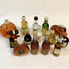 ✨ブランデー、ウィスキー他 ミニボトル14本セット