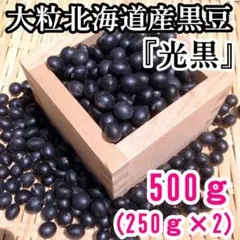 ☆限定特価品☆特選 令和3年産 北海道黒豆 光黒 小袋250g×2袋 乾燥豆