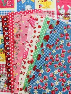 松山敦子　キルトゲイト　ルシアン10枚＋1枚セット商品