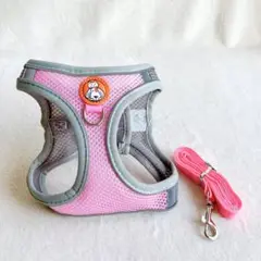 Item thumbnail for item 49cff2f6-b3d2-4816-aee7-ca60c1254c8e