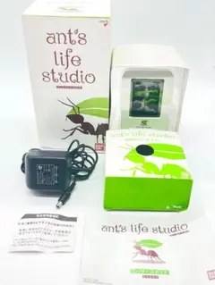 ants life studio アンツライフスタジオ ant's life studio Desktop digital ant breeding simulation