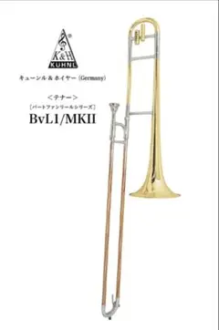 Item thumbnail for item 0e13ef48-fb6a-4a44-b510-b3cc846dacee