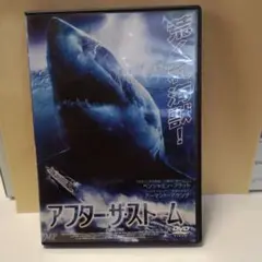 アフター・ザ・ストーム DVD