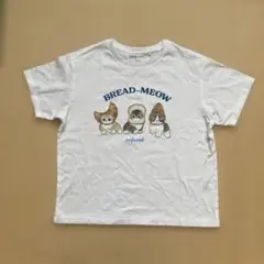 UT mofusand パンTシャツ150