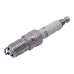 Item thumbnail for item 858ebe49-2b9b-4395-ae16-9bf5cd4c784a