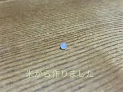 ライスボール（食べれません）