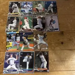 日本プロ野球 トレーディングカード１４枚 セット