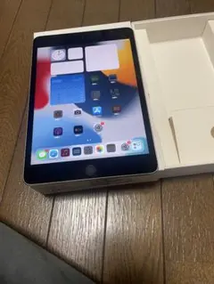Apple iPad (第6世代) 32GB スペースグレー バッテリー95%