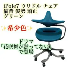 ウリドル iPole7 姿勢矯正チェア グリーン ウリドル iPole7 姿勢矯正チェア 矯正用品・補助ベルト