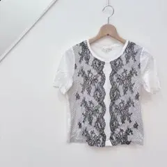 ダナパリ/半袖Tシャツ/カットソー/ストーン/レース/フリル/刺繍/上品