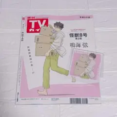 TVガイド特典　鳴海弦　限定　ブロマイド　怪獣8号