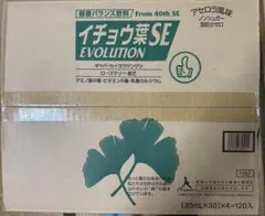 イチョウ葉SE 健康バランス飲料
