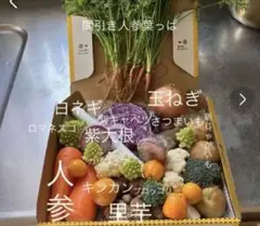 野菜詰め合わせ 3