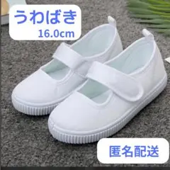 うわばき　マジックテープ式 16.0cm 新学期準備