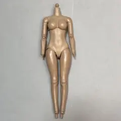 1/6 女性 素体 TBリーグ Phicen ファイセン ドール フィギュア