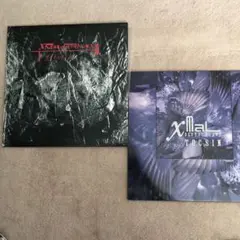 Xmal Deutschland /Fetisch・Tocsin LP2枚セット