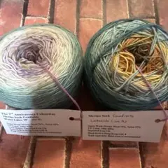 Chappy Yarn Milano Socjk 2カセ　新品未使用