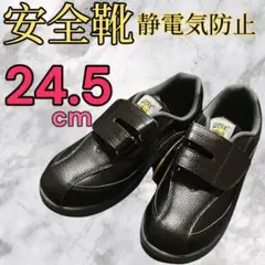 Item thumbnail for item a2275810-4bc0-4465-9b77-069ba33bf5b5