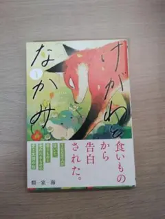 けがわとなかみ1
