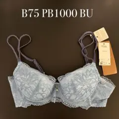 Item thumbnail for item 3e2c12b1-793e-4ceb-8825-fa54d074ee97