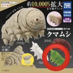 クマムシ ガチャ 可動フィギュア