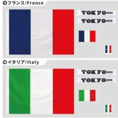 訳あり アウトレット 【イタリア】国旗セット バルーン シール セット