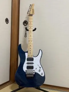 2025年最新】schecter sd-2-24の人気アイテム - メルカリ