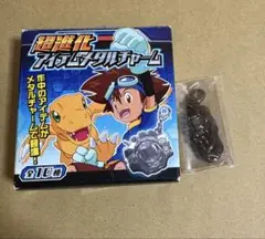 超進化　アイテムメタルチャーム　デジモン