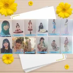 日向坂46 河田陽菜「まとめ売り」12枚