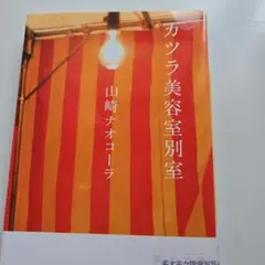 カツラ美容室別室 山崎ナオコーラ